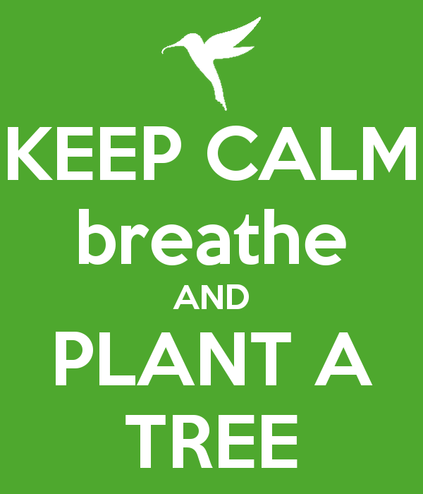 keep-calm-breathe-and-plant-a-tree-2